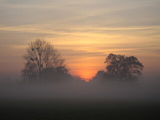 Winter sunset, trees silhouetted against the sky and mist forming in the fields