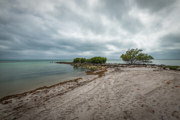Beautiful and natural Floridian Beach