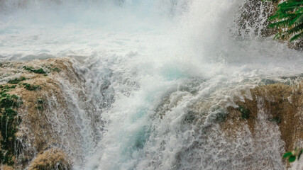 Obraz premium waterfall in the forest