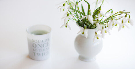 Frühling Gänseblümchen Frühblüher Spring Spruch