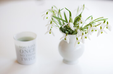 Frühling Gänseblümchen Frühblüher Spring Spruch