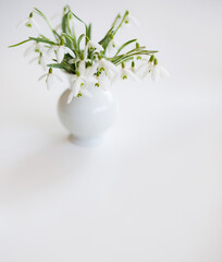 Fr&uuml;hling G&auml;nsebl&uuml;mchen Fr&uuml;hbl&uuml;her Spring Spruch