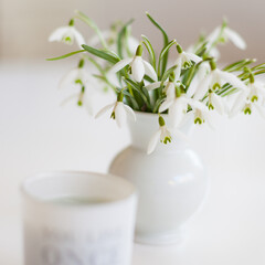 Frühling Gänseblümchen Frühblüher Spring Spruch