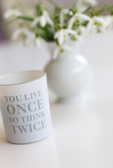 Fr&uuml;hling G&auml;nsebl&uuml;mchen Fr&uuml;hbl&uuml;her Spring Spruch