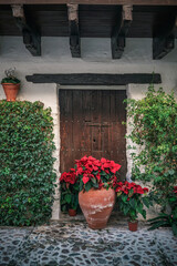 Traditional Andalusian patio, in Cordoba, Andalusia, Spain. Pots of colorful flowers on the white walls