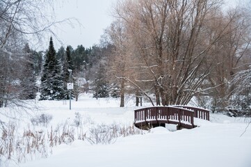 Naturaleza y Nieve