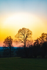 Forst Sonnenuntergang