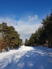 snow piste in a park in berlin, germany