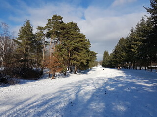 snow piste in a park in berlin, germany