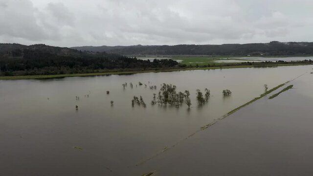 Panorama Of A Puddly Pasture Land Near Coquille Valley In Coos County, Bandon Oregon. - Aerial Shot
