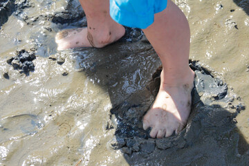 Children's feet on the North Sea in the sandy bottom of the Wadden Sea Germany.
