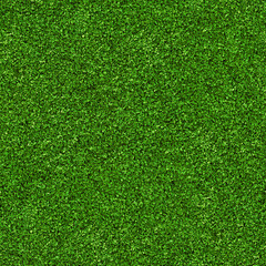 Obraz premium Seamless texture of green grass
