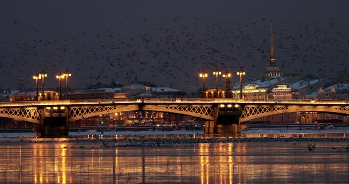 The panoramic footage of the winter night city Saint-Petersburg, Blagoveshchensky Bridge, the bridge of the lieutenant Schmidt, a night motionless panorama, a lot of birds, Admiralty building
