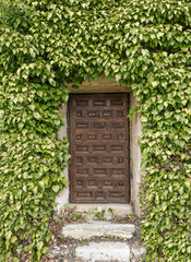 old reddish door with relief of rectangles surrounded by vegetation with green and yellow tones with access staircase