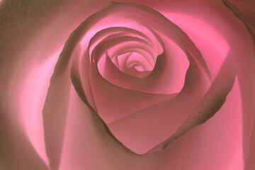 Heart energy rose, used for relaxing, calming, reiki, healing and meditation.