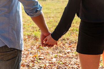 Lovers romantic, relationship or valentine day concept. Young couple casual holding hands with sun light while walking togetherness in nature background. Two people dating travel at the park.