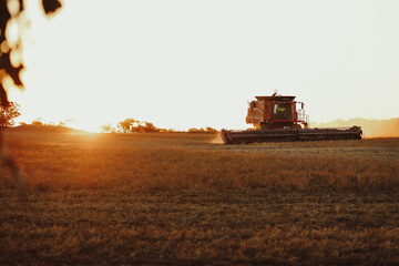 Farming working the land late in the day driving header in paddock during harvest time at sunset