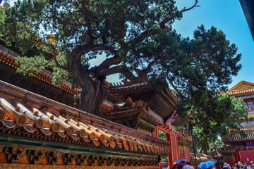Obraz premium chinese temple