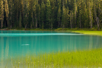 Obraz premium Mesmerizing Scenery of Joffre Lake