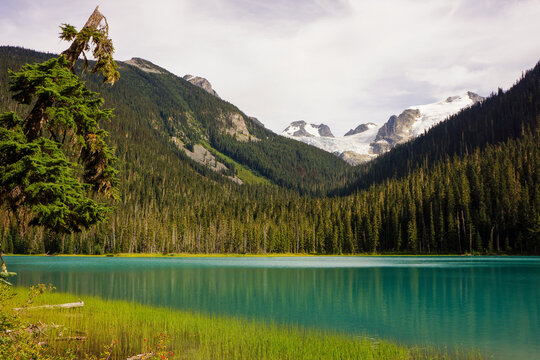 Mesmerizing Scenery of Joffre Lake