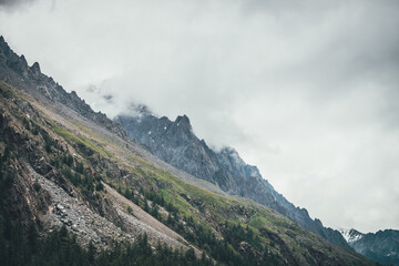 Atmospheric mountain landscape with pinnacle in low clouds. Awesome mountain scenery with rocky top in cloudy sky. Sharp rocks and mountainside with trees in gray sky. Snow on rocks in low clouds.