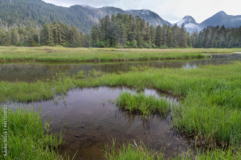 Poster USA, Alaska, Sitka. Meadow at high tide in Tongass National Forest.