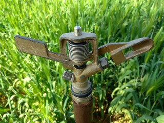 selective focus on water sprinkler in the field 