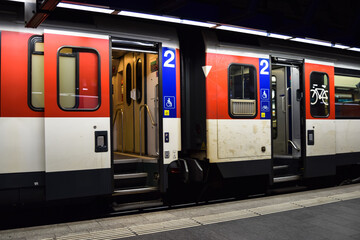 Door with bicycle and wheelchair icon of a train. Set of intercity and regional fast trains. Passenger transport, called carrot in folklore.