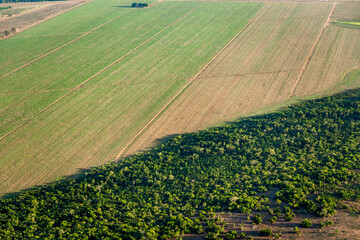 cultivos y llanuras en sobrevuelo en el departamento del Meta _ Colombia, entre Villavicencio y Puerto Gaitán, superficies de cultivos y ganadería de la región 