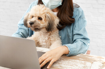 A young Designer woman working on a laptop at home. Asian mature female wearing a face mask while using a laptop with her puppy dog. A new normal online Work from home or WFH concept