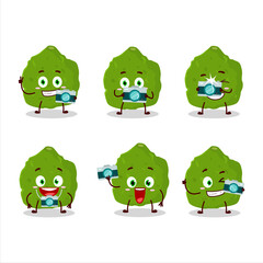 Photographer profession emoticon with kaffir lime fruit cartoon character