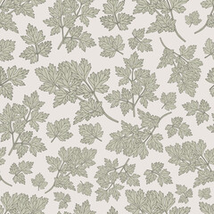 Parsley seamless pattern hand-drawn illustration