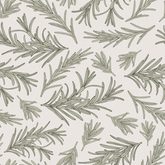 Rosemary seamless pattern herbs drawing