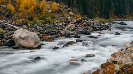 Autumn Flow