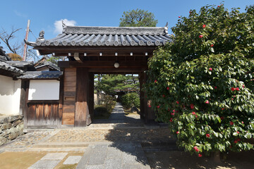 Naklejka premium 妙心寺 長慶院 京都市