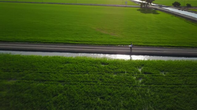 Beautiful rice plantation in south of Spain, with a woman walking near water chanel