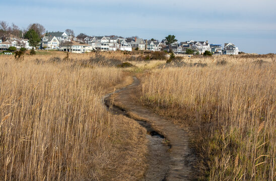 path through the marsh