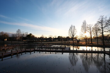 Obraz premium 美しい公園の日没