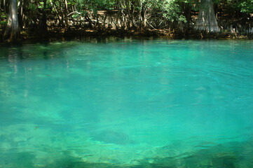 Manatee Spring, Suwannee River, Chiefland, Florida.