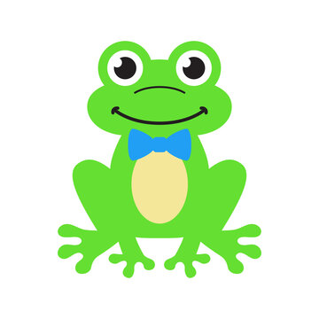 Vector Male Frog Flat Illustration