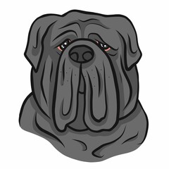 Neapolitan Mastiff dog face cartoon vector illustration