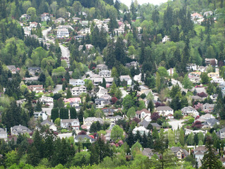 Houses on the Hillside