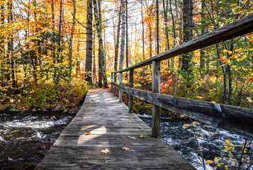 Fascinating autumn landscape with a small river in the forest and a wooden pedestrian bridge across it in Vermont