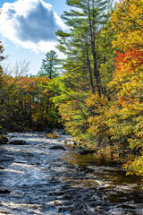 Landscape with mountain river surrounded by colorful autumn maples in sunlight in Vermont in New England