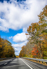 One-way highway road with yellowed autumn maple trees on the sides in New England