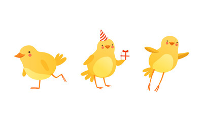 Funny Chicken in Different Situations Set, Cute Baby Animal Character Cartoon Vector Illustration