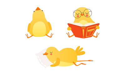 Funny Chicken in Different Situations Set, Cute Baby Animal Character Reading and Sleeping Cartoon Vector Illustration