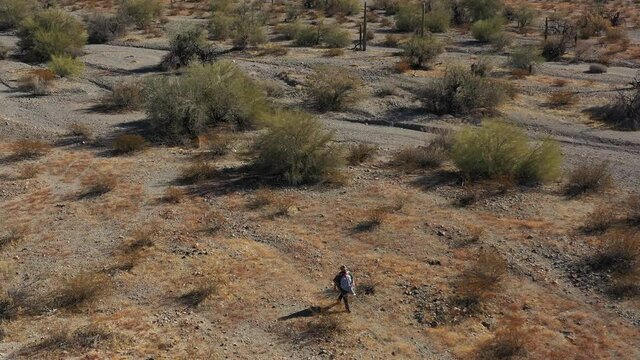 A lone desperado wanders through a vast desert on a sunny day. Cacti and other desert plants fill the landscape and mountains are seen in the distance. An overhead aerial drone shot.