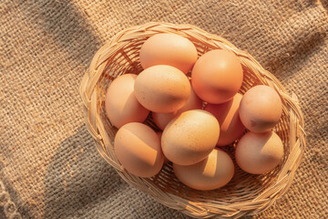 fresh eggs in a wooden basket from agriculture farm.