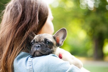 young woman holding french bulldog puppy